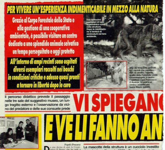 lupi 1